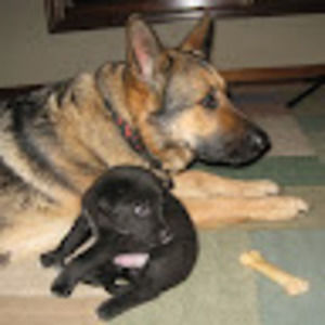 Meet your Posher, Nina